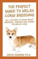 The Perfect Guide to Welsh Corgi Breeding