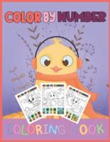 Color by Number Coloring Book