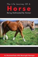 The Life Journey Of A Horse Being Maltreated By Human