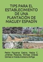 Tips Para El Establecimiento De Una Plantaciónde Maguey Espadín
