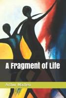 A Fragment of Life