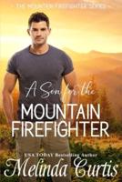 A Son for the Mountain Firefighter: A Secret Baby Second Chance Romance