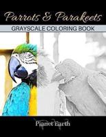 Parrots & Parakeets Grayscale Coloring Book