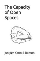 The Capacity of Open Spaces