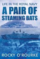 A PAIR OF STEAMING BATS: Life in the Royal Navy