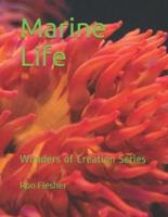 Marine Life: Wonders of Creation Series