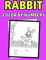 Rabbit Color by Numbers