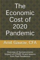 The Economic Cost of 2020 Pandemic