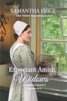Expectant Amish Widows 3 Books-in- 1 (Volume 3) The Pregnant Widow's Amish Vacation: The Amish Firefighter's Widow: Amish Widow's Secret: Amish Romance