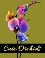 Cute Orchids