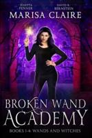 Broken Wand Academy: Books 1-4: Wands and Witches Box Set (Veiled World)