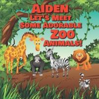 Aiden Let's Meet Some Adorable Zoo Animals!