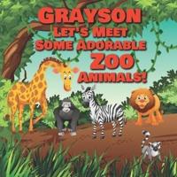 Grayson Let's Meet Some Adorable Zoo Animals!