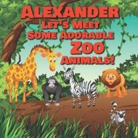 Alexander Let's Meet Some Adorable Zoo Animals!