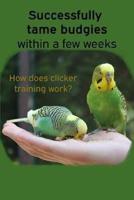 Successfully tame budgies within a few weeks: How does clicker training birds with budgerigars work? A step-by-step guide for budgies taming and parakeet training.