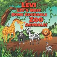 Levi Let's Meet Some Adorable Zoo Animals!