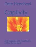 Captivity: An Explanation Of Revolution:  A Nice Boring Book