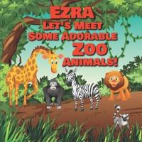 Ezra Let's Meet Some Adorable Zoo Animals!