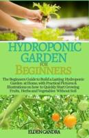 Hydroponic Garden for Beginners