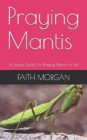 Praying Mantis: A Simple Guide On Praying Mantis As Pet