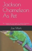 Jackson Chameleon As Pet