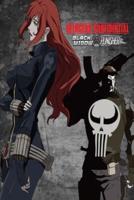 Avengers Confidential Black Widow & Punisher