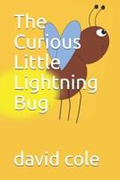 The Curious Little Lightning Bug