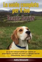 La Guida Completa Per Il Tuo Beagle Harrier