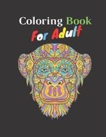 Coloring Boook For Adult