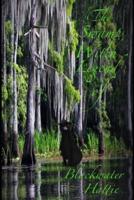 The Swamp Witch Legend of Black Water Hattie