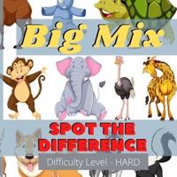 Big Mix - Spot the Difference