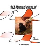 The Life Adventures of Mtoto and Zuri