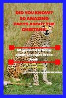 Did You Know? 50 Amazing Facts About the Cheetahs!