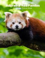 Adorable Red Panda Full-Color Picture Book