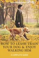 How to Leash Train Your Dog and Enjoy Walking Him