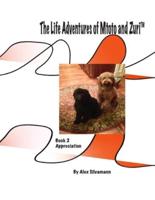 The Life Adventures of Mtoto and Zuri