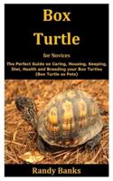Box Turtle for Novices