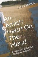 An Amish Heart On The Mend
