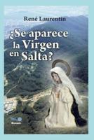 ¿SE APARECE LA VIRGEN EN SALTA?: experiencia de fe