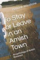 To Stay or Leave in an Amish Town