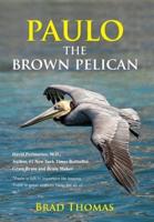 Paulo the Brown Pelican
