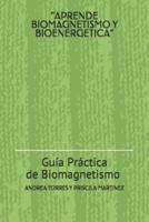 Curso Integral De Biomagnetismo Y Bioenergetica