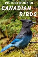 Picture Book of Canadian Birds