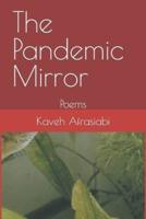 The Pandemic Mirror