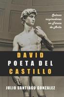 David Poeta del Castillo: Salmos Inspiradores en Teresa de Avila