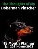 The Thoughts of My Doberman Pinscher