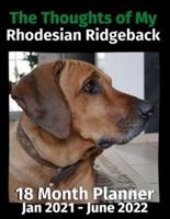 The Thoughts of My Rhodesian Ridgeback