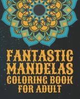 Fantastic Mandelas Coloring Book for Adult