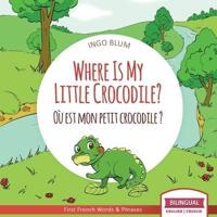 Where Is My Little Crocodile