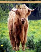 Bull